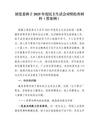 镇党委班子2025年度民主生活会对照检查材料(带案例)