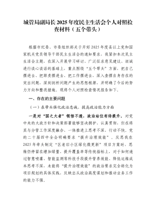 城管局副局长2025年度民主生活会个人对照检查材料（五个带头）