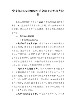 党支部2025年组织生活会班子对照检查材料
