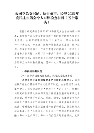 公司党总支书记、执行董事、经理2025年度民主生活会个人对照检查材料（五个带头）