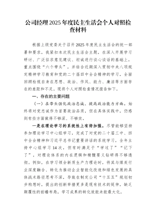 公司经理2025年度民主生活会个人对照检查材料