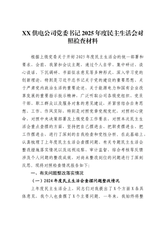 供电公司党委书记2025年度民主生活会对照检查材料 .