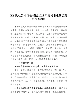 供电公司党委书记2025年度民主生活会对照检查材料 -
