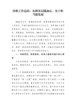 挂职工作总结：扎根基层践初心，实干担当促发展