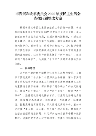 市发展和改革委员会2025年度民主生活会查摆问题整改方案