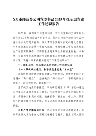 市邮政分公司党委书记2025年抓基层党建工作述职报告