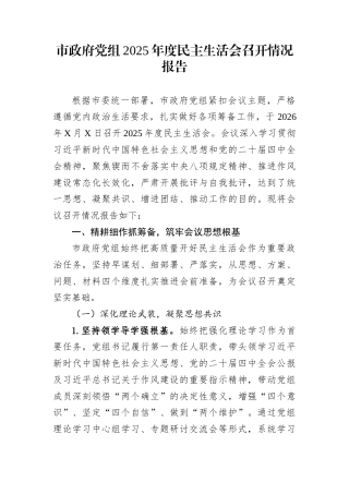 市政府党组2025年度民主生活会召开情况报告