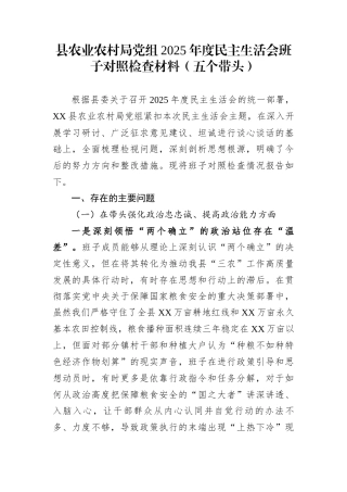 县农业农村局党组2025年度民主生活会班子对照检查材料（五个带头）