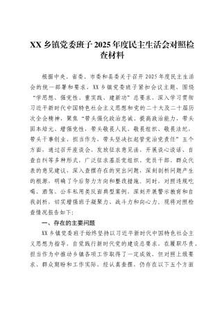 乡镇党委班子2025年度民主生活会对照检查材料 .