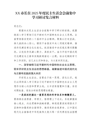 XX市长在2025年度民主生活会会前集中学习研讨发言材料