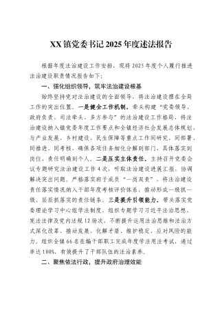 X镇党委书记2025年度述法报告