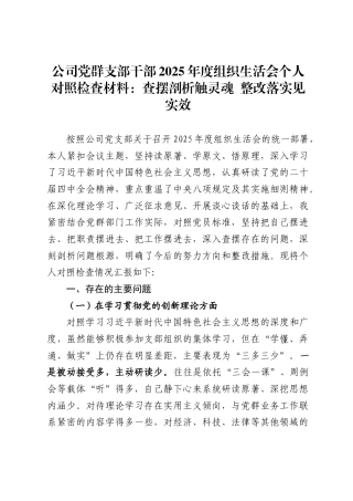 公司党群支部干部2025年度组织生活会个人对照检查材料：查摆剖析触灵魂 整改落实见实效
