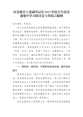 区直机关工委副书记在2025年民主生活会前集中学习研讨会上的发言提纲