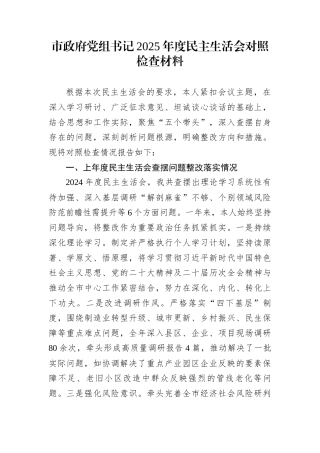市政府党组书记2025年度民主生活会对照检查材料 (1)