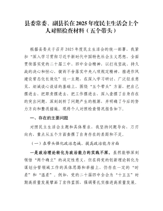 县委常委、副县长在2025年度民主生活会上个人对照检查材料（五个带头）