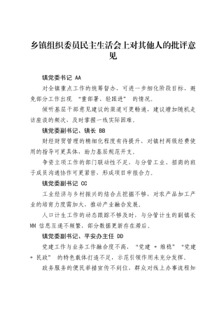 乡镇组织委员民主生活会上对其他人的批评意见.