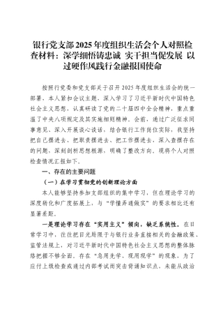 银行党支部2025年度组织生活会个人对照检查材料：深学细悟铸忠诚 实干担当促发展 以过硬作风践行金融报国使命