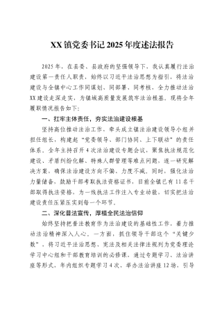 镇党委书记2025年度述法报告