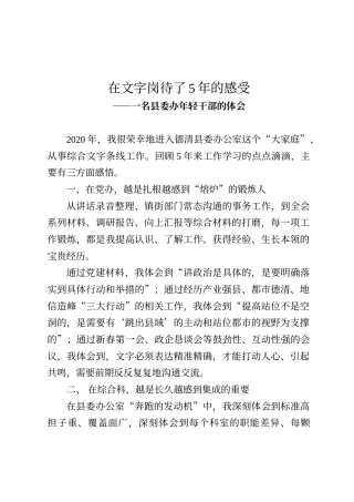 在文字岗待了5年的感受——一名县委办年轻干部的体会