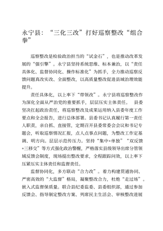 永宁县：“三化三改”打好巡察整改“组合拳”