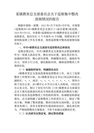 镇教育总支部委员会巡察集中整改进展情况的报告