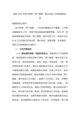 县委2025年新兴领域“两个覆盖”集中攻坚工作进展情况汇报