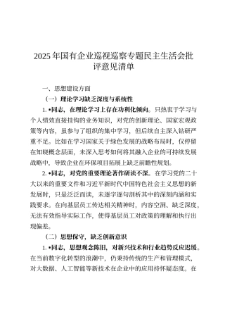 2025年国有企业巡视巡察专题民主生活会批评意见清单