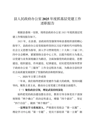 县人民政府办公室2025年度抓基层党建工作述职报告