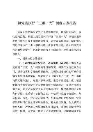 乡镇党委执行“三重一大”制度自查报告