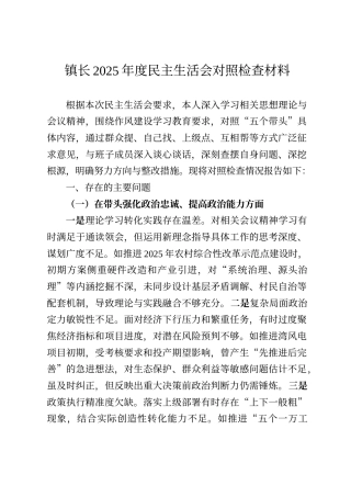 镇长2025年度民主生活会对照检查材料