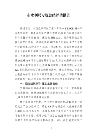 市水利局专题总结评估报告