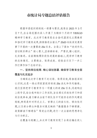市统计局专题总结评估报告(1)
