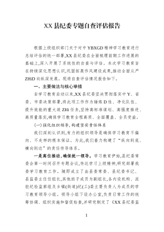 XX县纪委专题自查评估报告