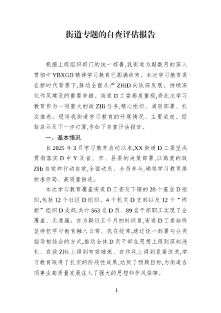 街道专题的自查评估报告
