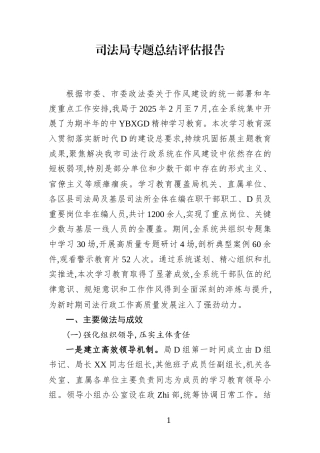 司法局专题总结评估报告