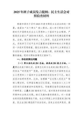 2025年班子成员发言提纲：民主生活会对照检查材料