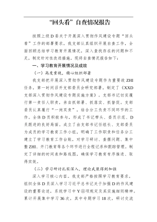 党支部学习教育“回头看”自查情况总结报告