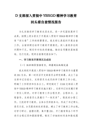 党支部深入贯彻ZYBXG党精神学习教育”回头看“总结报告（参考范文）