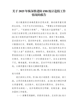 关于2025年纵深推进防治统计造假工作情况的报告