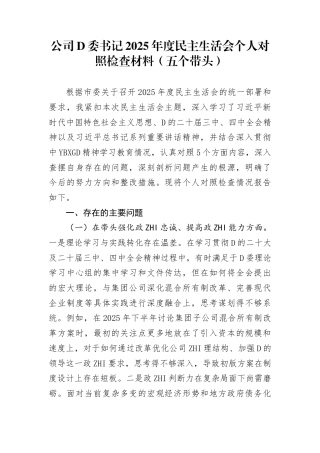公司党委书记2025年度民主生活会个人对照检查材料（五个带头）2