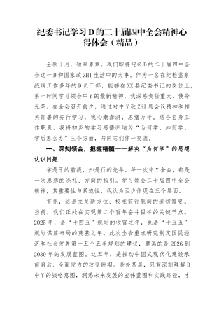 纪委书记学习党的二十届四中全会精神心得体会