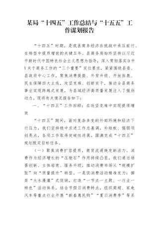 某局“十四五”工作总结与“十五五”工作谋划报告(1)