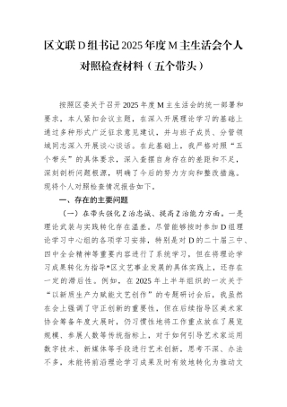 区文联党组书记2025年度民主生活会个人对照检查材料（五个带头）(1)