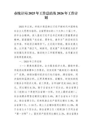 市统计局2025年工作总结及2026年工作计划(1)