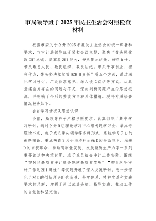 市局领导班子2025年民主生活会对照检查材料