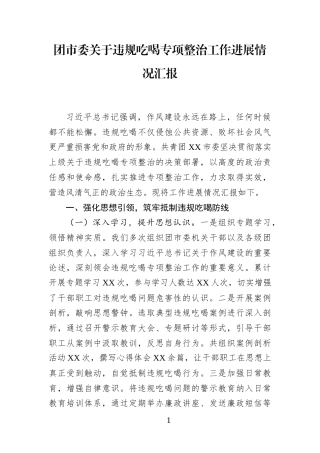 团市委关于违规吃喝专项整治工作进展情况汇报(1)