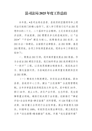 县司法局2025年度工作总结