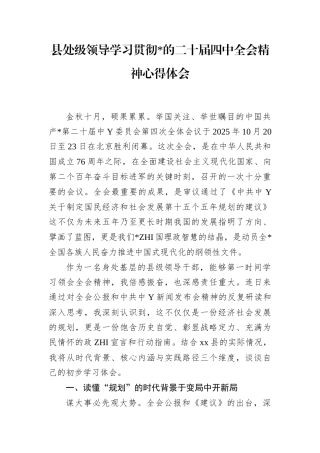 县处级领导学习贯彻党的二十届4中全会精神心得体会