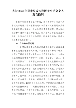 乡长2025年巡察整改专题民主生活会个人发言提纲