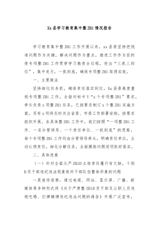 县学习教育集中整治情况报告
